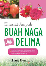 Khasiat Ampuh Buah Naga dan Delima