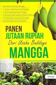 PANEN JUTAAN RUPIAH Dari Usaha Budidaya MANGGA