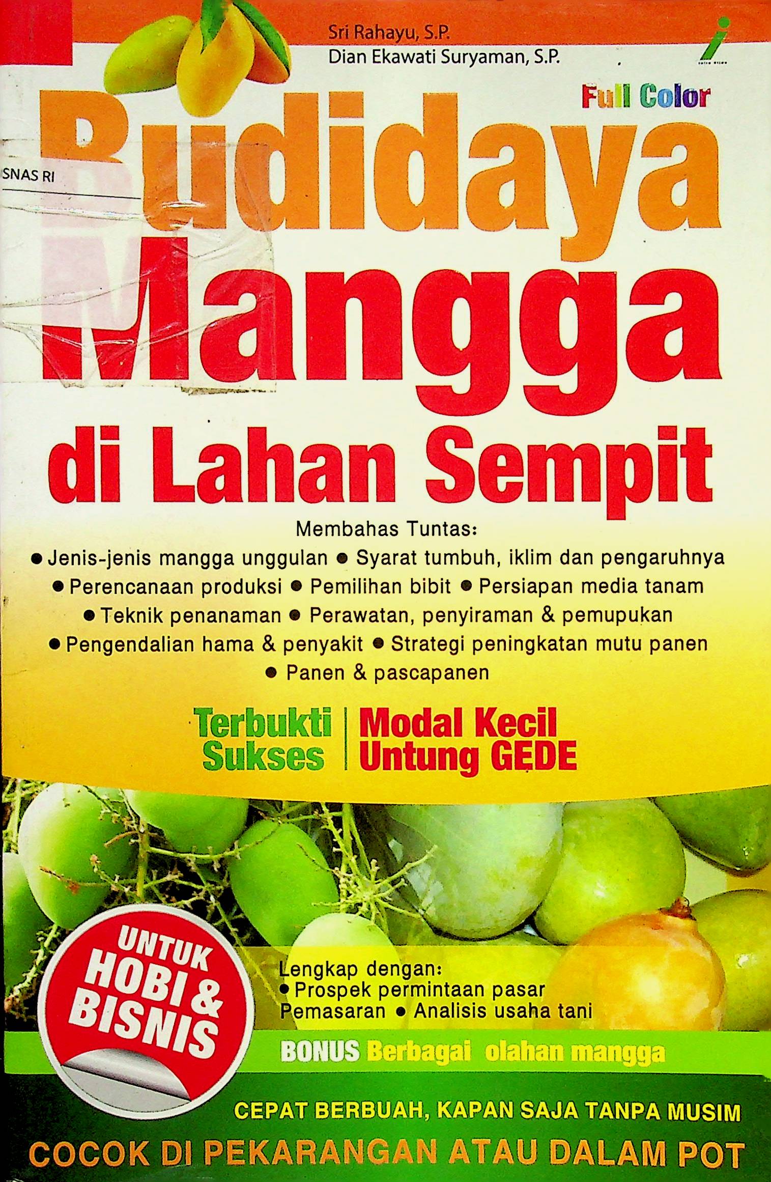 Budidaya Mangga di Lahan Sempit