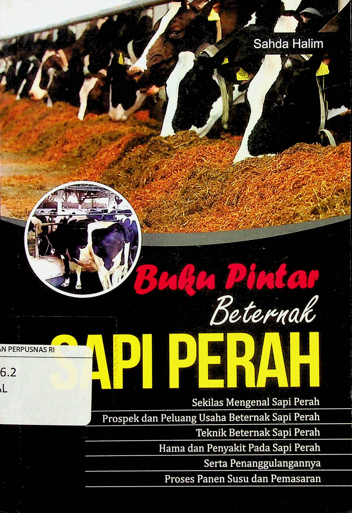 PINTAR BERTENAK SAPI PERAH