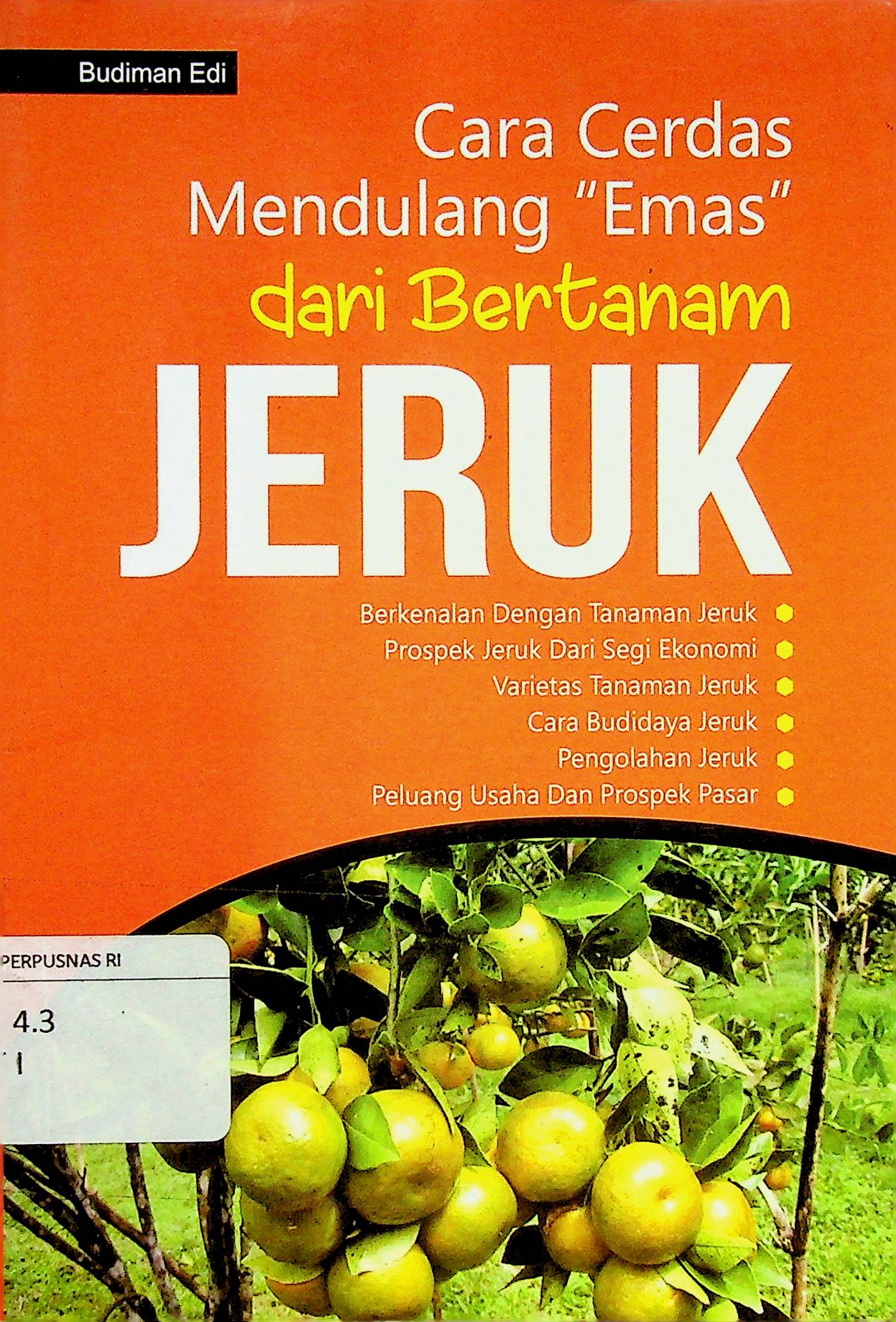 Cara Cerdas Mendulang "Emas" dari Bertanam Jeruk