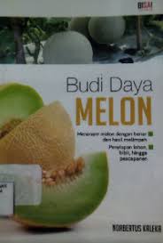 Budi Daya Melon