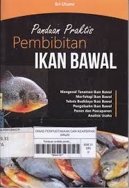 Pembibitan IKAN BAWAL