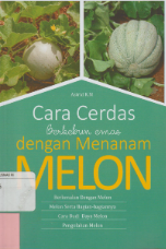 Cara Cerdas Berkebun Emas Dengan Menanam Melon